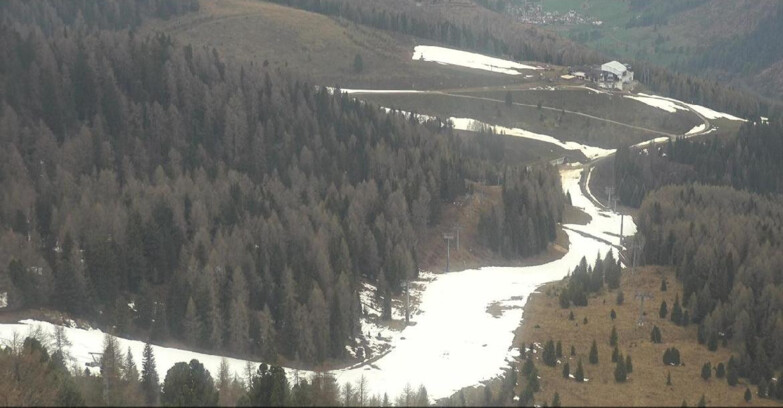 Webcam Moena-Alpe Lusia  - Pista Piavac
