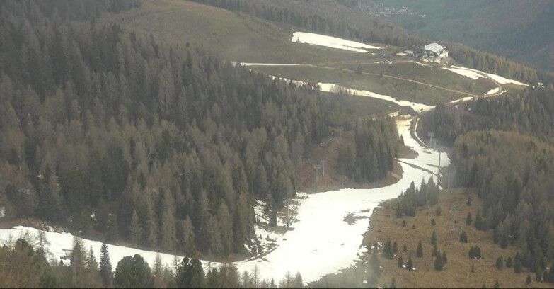 Webcam Moena-Alpe Lusia  - Pista Piavac