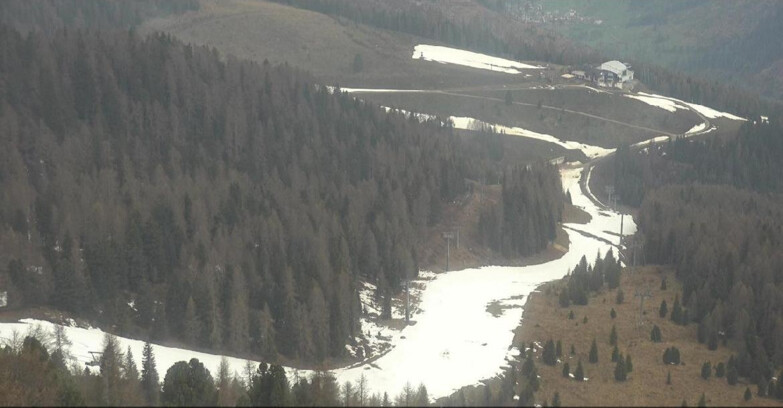 Webcam Moena-Alpe Lusia  - Pista Piavac