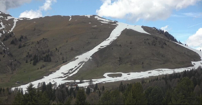Webcam Bellamonte-Alpe Lusia - Pista direttissima Le Cune