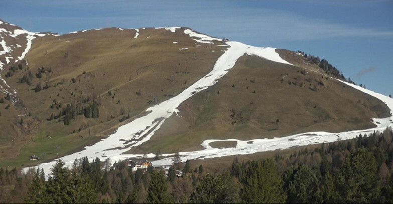 Webcam Bellamonte-Alpe Lusia - Pista direttissima Le Cune
