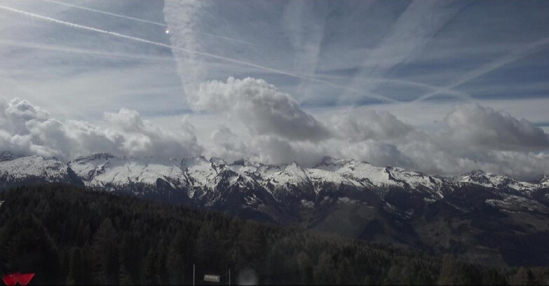Webcam Bellamonte-Alpe Lusia - Lagorai