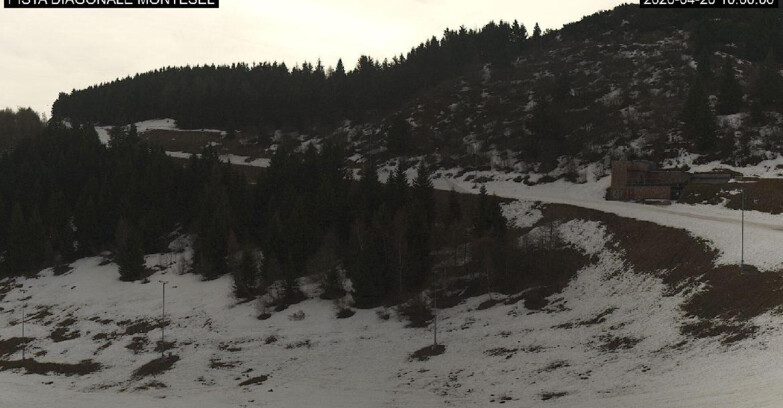 Webcam Monte Bondone - Bondone Diagonale Montesel