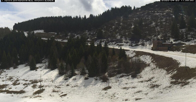 Webcam Monte Bondone - Bondone Diagonale Montesel