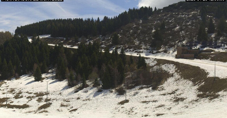 Webcam Monte Bondone - Bondone Diagonale Montesel