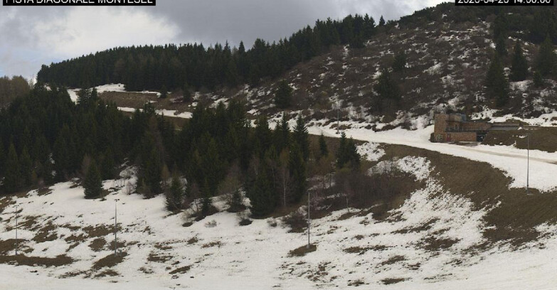 Webcam Monte Bondone - Bondone Diagonale Montesel