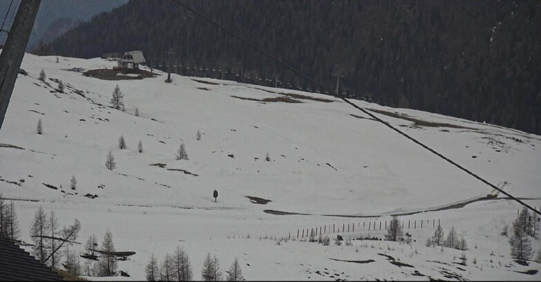 Webcam San Martino di Castrozza - Passo Rolle - Tognola - Rododendro