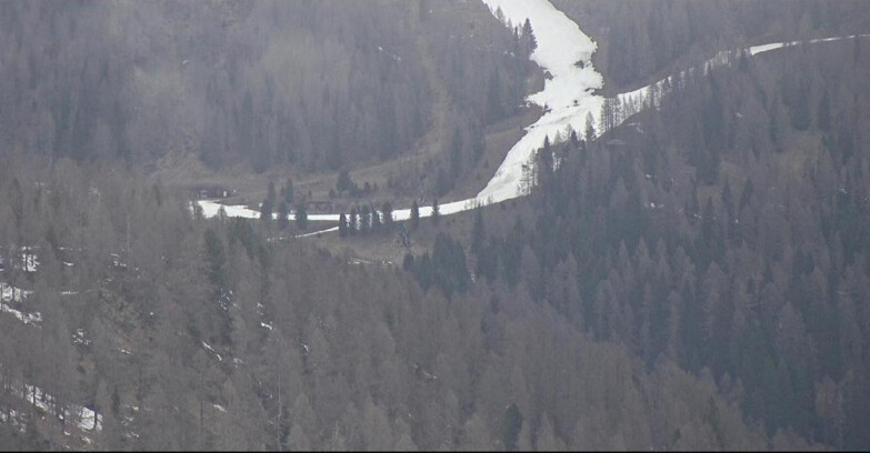 Webcam San Martino di Castrozza - Passo Rolle - Ces - Malga Valcigolera