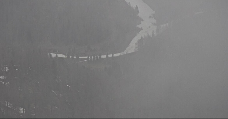 Webcam San Martino di Castrozza - Passo Rolle - Ces - Malga Valcigolera