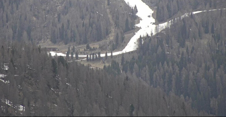 Webcam San Martino di Castrozza - Passo Rolle  - Ces - Malga Valcigolera