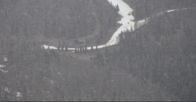 Webcam San Martino di Castrozza - Passo Rolle  - Ces - Malga Valcigolera