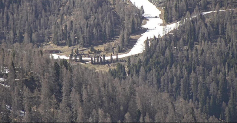 Webcam San Martino di Castrozza - Passo Rolle  - Ces - Malga Valcigolera